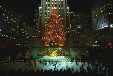 Illuminated Christmas trees at the ice skating rink at Rockefeller Center