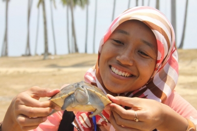 A turtle protection researcher holds up a baby turtle
