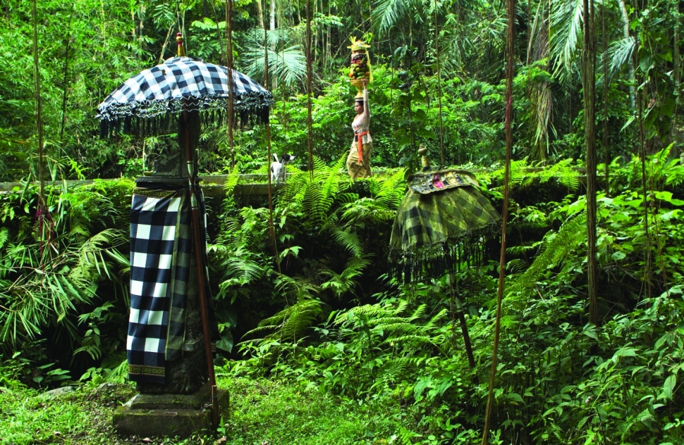 A woman carrying offerings of fruits known as gebogan