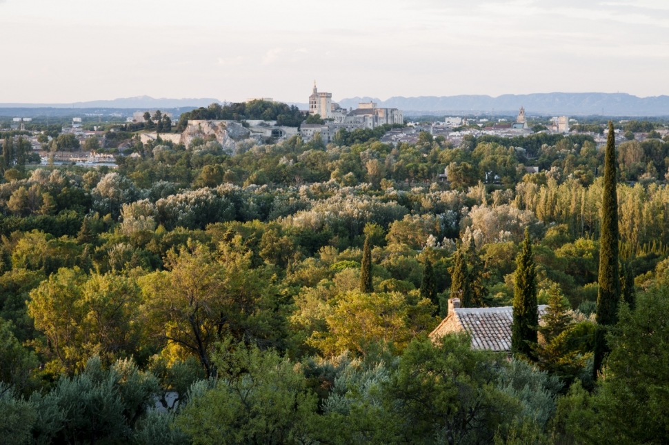View of Avignon from the medieval Fort St.-Andrè