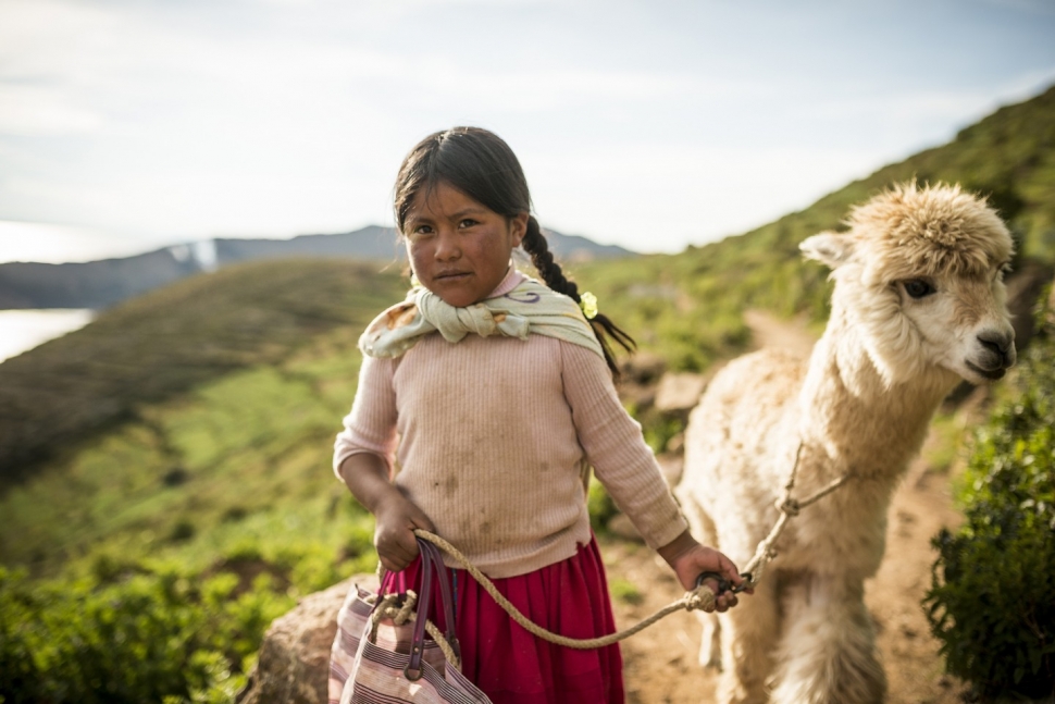 In Isla del Sol, a little girl and her llama