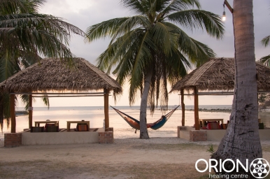 Peaceful surroundings by the beach at Orion Healing Photo © Derek Dickson