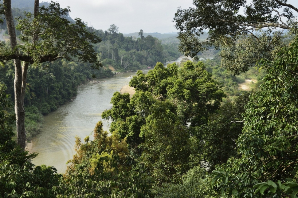 a view of Sungai Tembeling that runs through Taman Negara