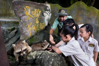 Kids will love the Petting Zoo © Lost World of Tambun