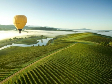 The Yarra Valley, Photo © Visit Melbourne