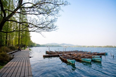 West Lake Shore, Photo © Hangzhou Tourism Committee