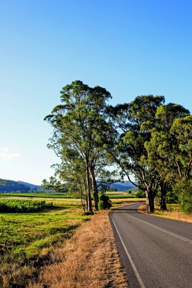 King Valley Road is known for its Prosecco Road food and wine trail