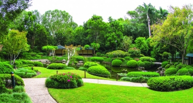 The Brisbane Botanic Gardens is home to a variety of flora and fauna