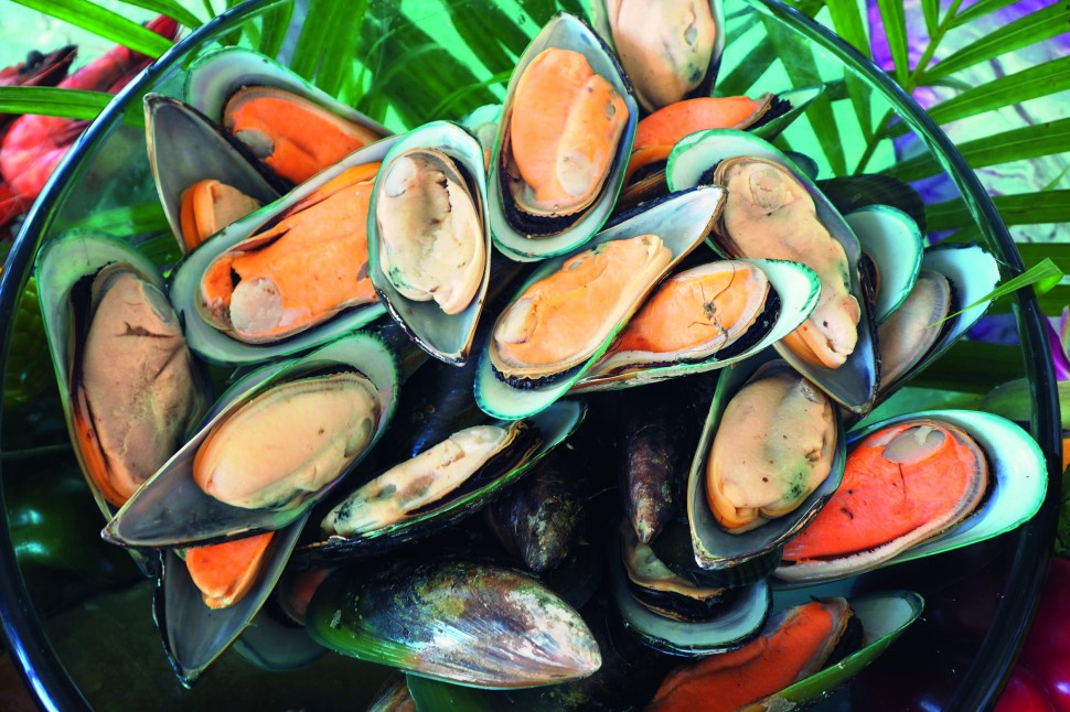The coastal village of Havelock in the Marlborough region is famous for its mussels. Photo: 123RF