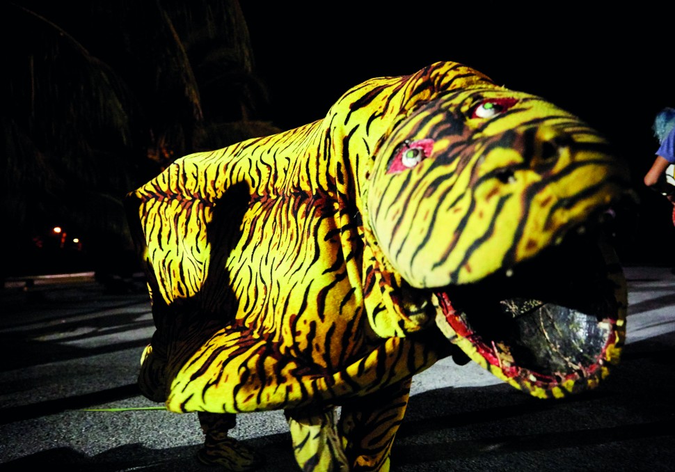Cultural elements are woven in the performances through characters from old stories, such as tigers