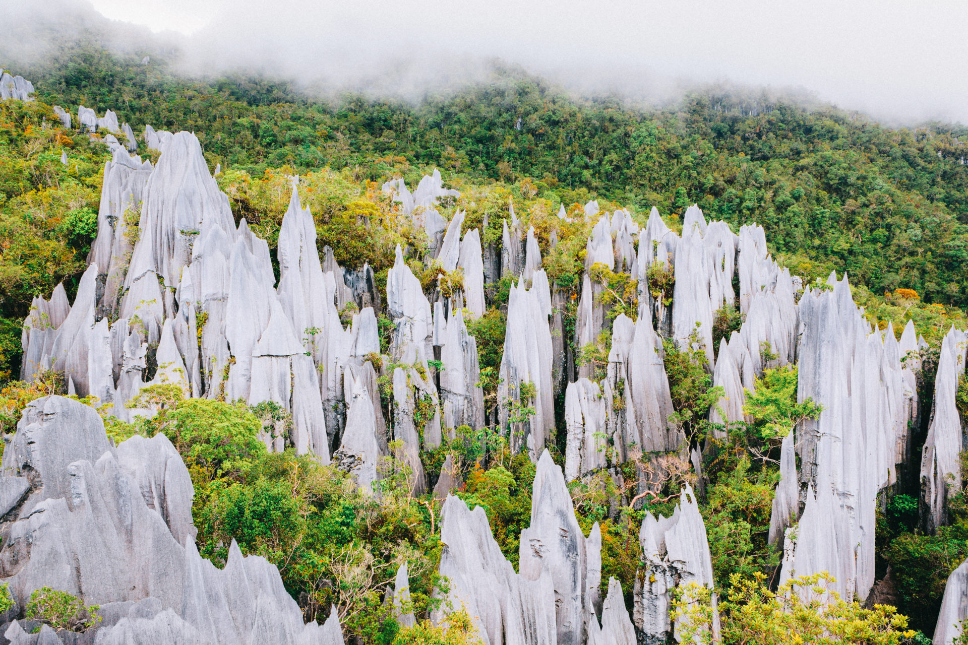 limestone pinnacles of Mount Api, Gunung Mulu National Park