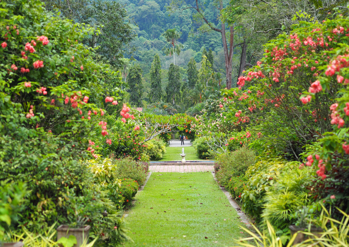Penang Botanic Gardens, Penang 