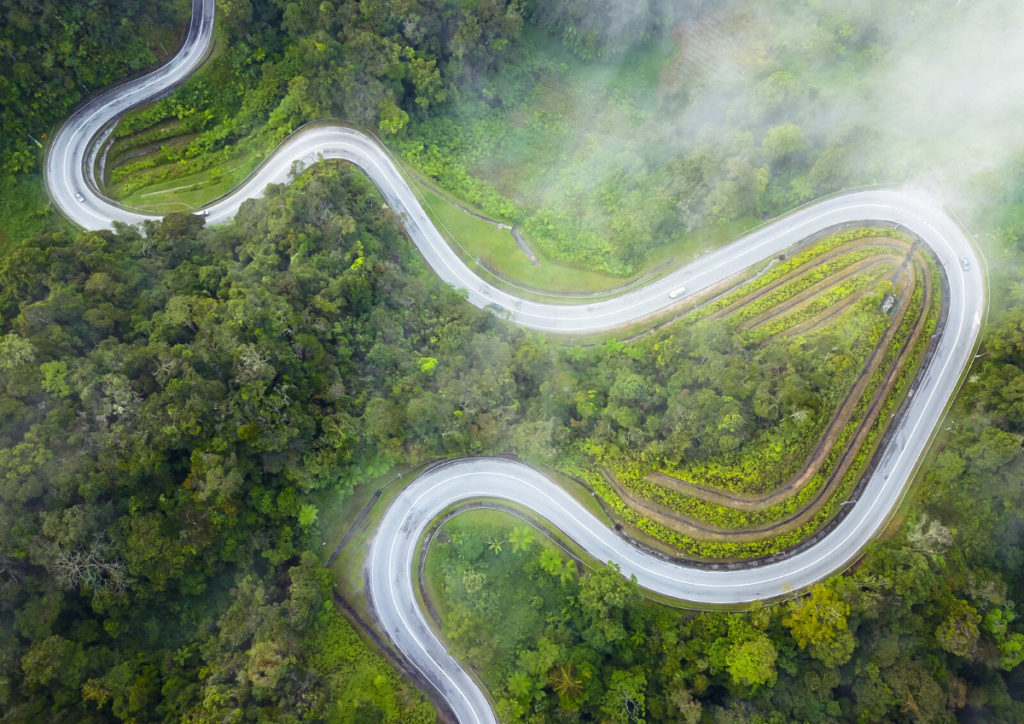 A Vacation Through Cameron Highlands' Most Scenic Spots - Going Places ...