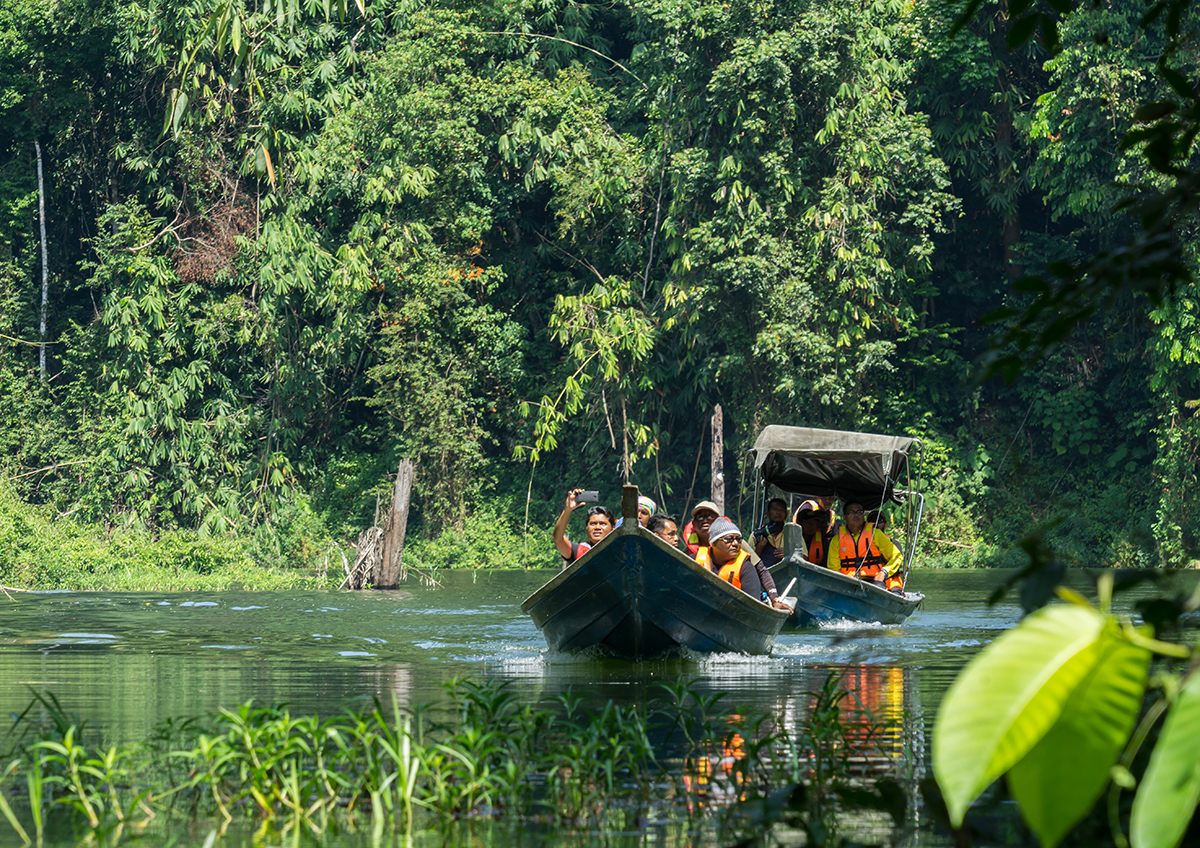 All You Need To Know About Belum Temenggor The World S Oldest Rainforest Going Places By Malaysia Airlines