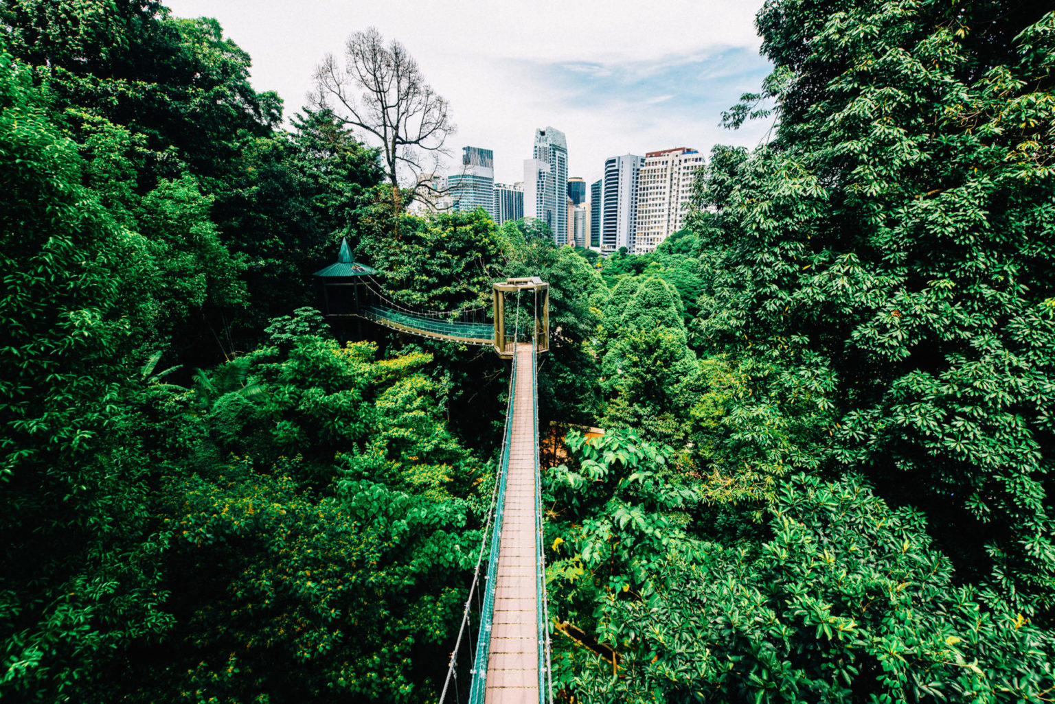 Secret spots: 7 hidden gems in KL you won't find in guidebooks - Going