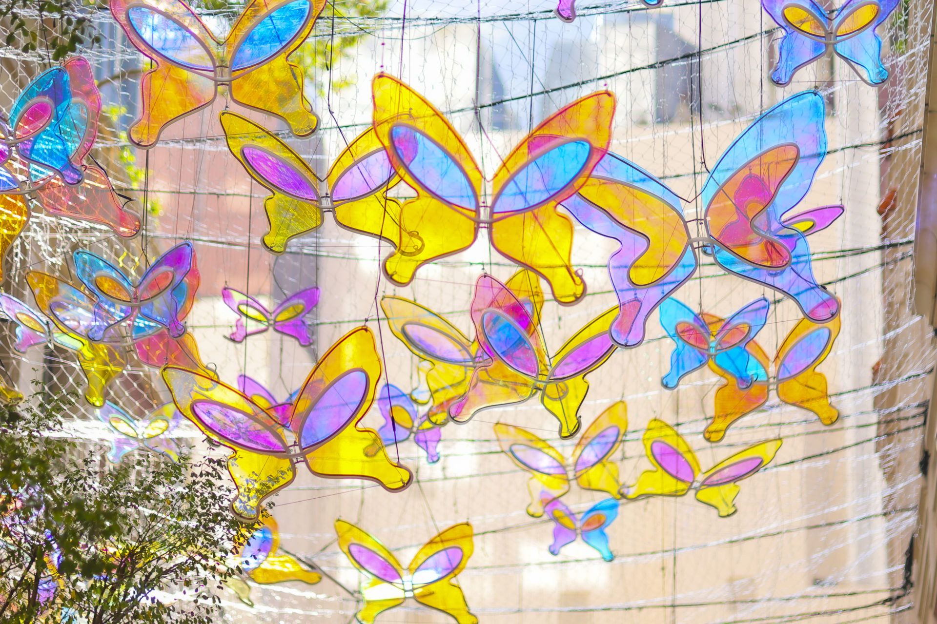 Butterflies of Hope "Lee Tung Avenue"