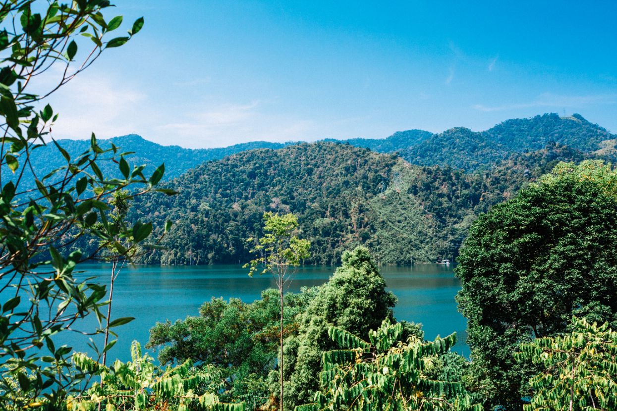 Perak's Belum-Temenggor rainforest