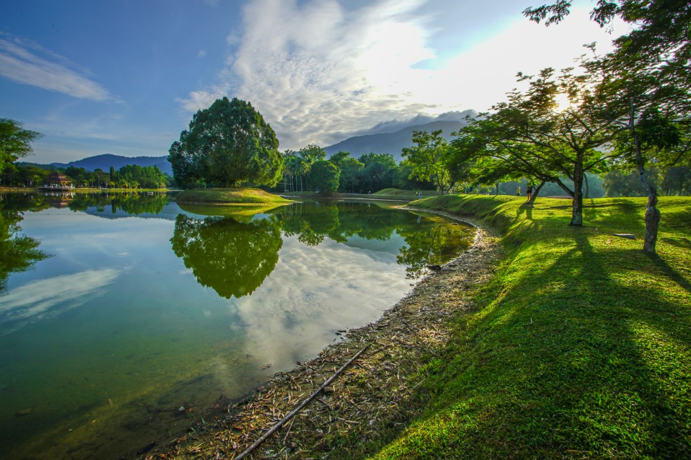 Taiping's postcard-worthy Lake Gardens