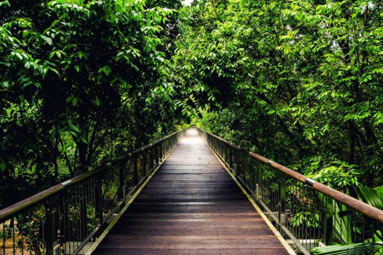 8 best things to do in Putrajaya, Malaysia's garden city Going Places