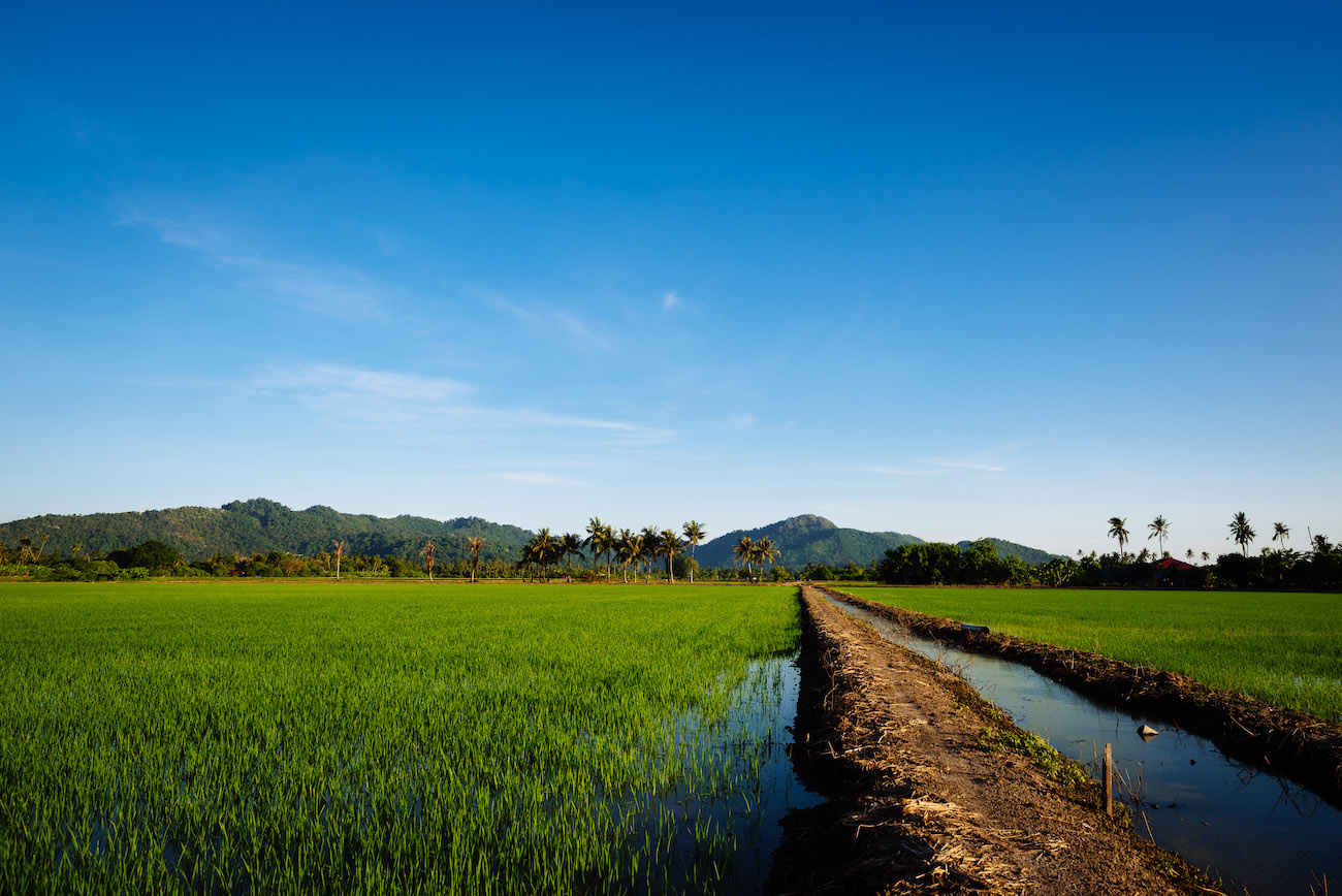 Balik Pulau, Penang