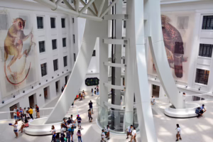 The National Museum of Natural History