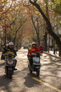 Tree-shaded lanes