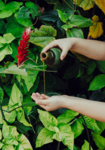 Healing oils at The Leela Kovalam