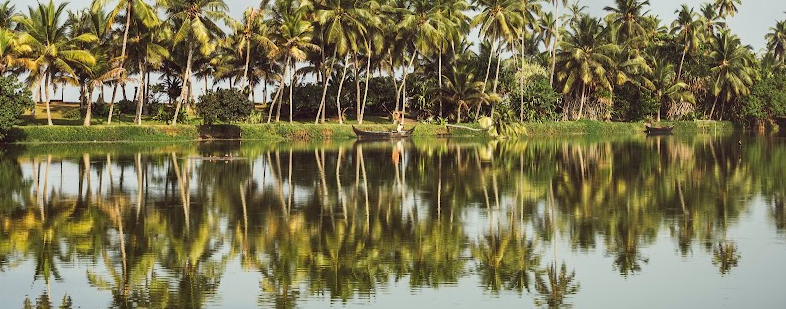 Taj Green Cove’s peaceful setting