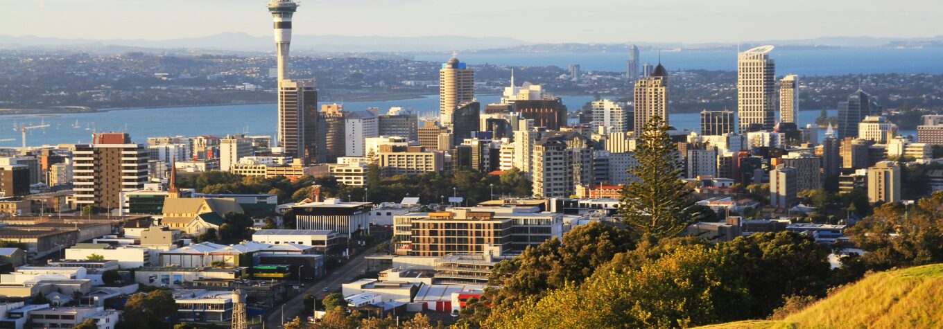 View of Auckland from Mount Eden