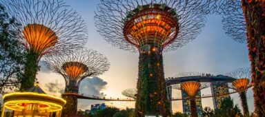 Gardens by the Bay at sunset