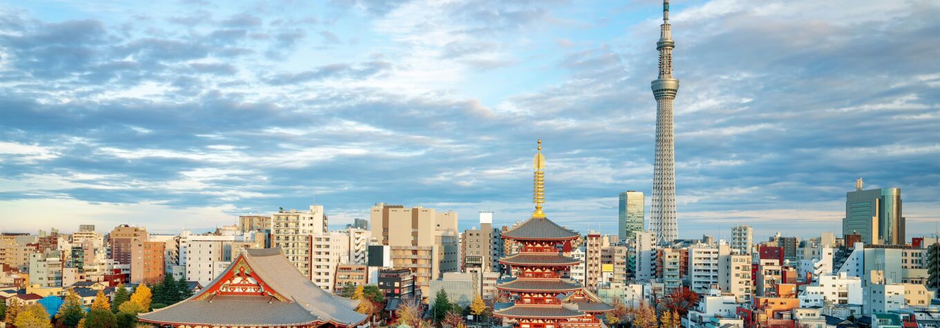Sensoji temple with autmn and tower background from top view